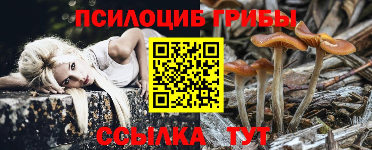 Псилоцибиновые грибы Psilocybe  Псилоцибиновые грибы MAGIC MUSHROOMS  Калуга  Вход с VPN 
